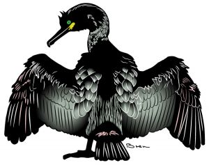 Art print in lino printing style of a shag drying his wings