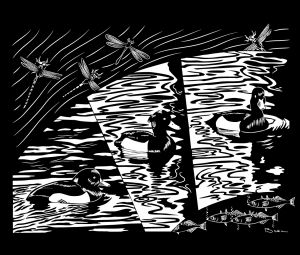 Black and white picture of tufted ducks, dragonflies and fish in a pond
