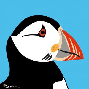 A drawing of th head of a puffin